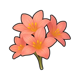 Pétalos de flor de puro amor