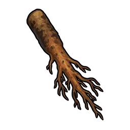 Raíz de diente de león