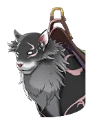 Gato nocturno juguetón