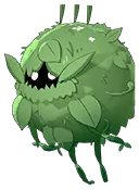 Bola de musgo reservada