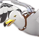 Domesticated Seagull
