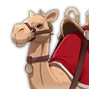 Guiding Camel