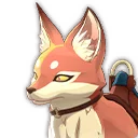 Domesticated Red Fox