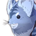 Domesticated Kangaroo Rat