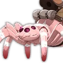 Pet Spider
