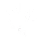 Lightning Dragon's Wrath