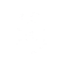 Blessing of the Spirits: Dragon