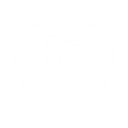 Shield Strike