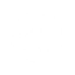 Brute Strike
