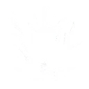 Lightning Dragon's Wrath