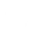 Light Bomber