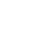 Super Cyclone