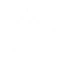 Holy Swarm