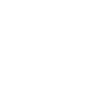 Lion Beam