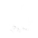 Vertical Slice